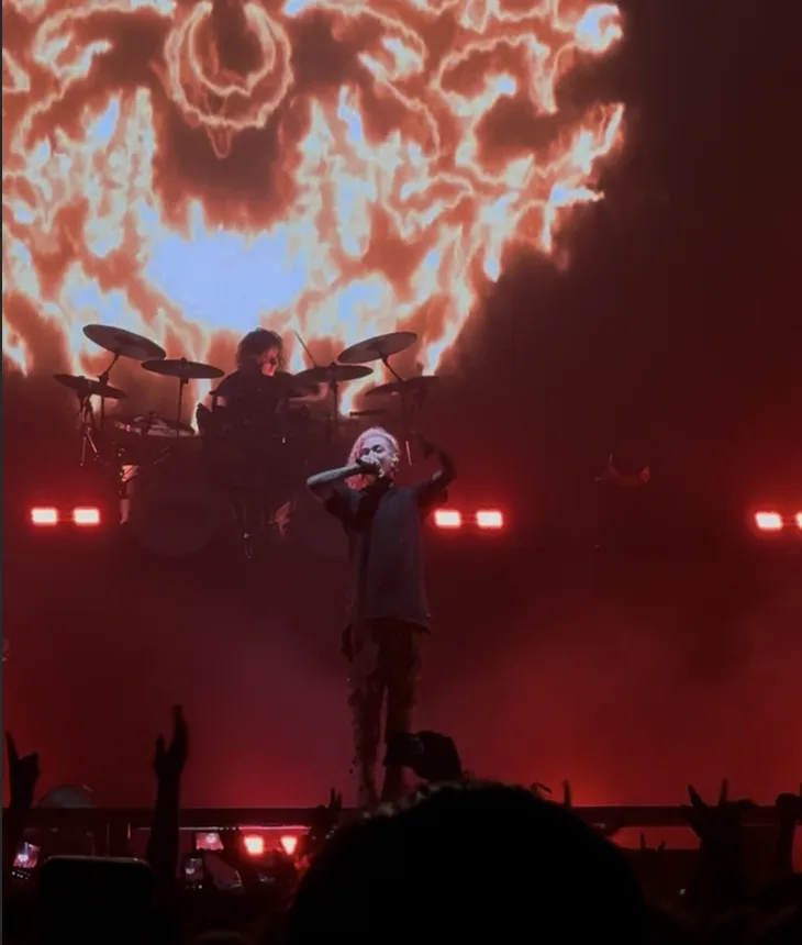 A singer with pink hair holding a microphone above the crowd, a drummer behind them and a screen of orange flames glowing in red stage light.
