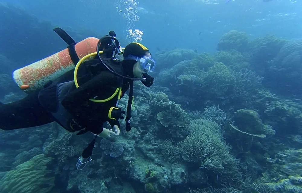A scuba diver in a black wetsuit with an orange tank swims over a coral reef in blue water.